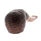 PIPE-SAV-DOLOMITI-646-R907